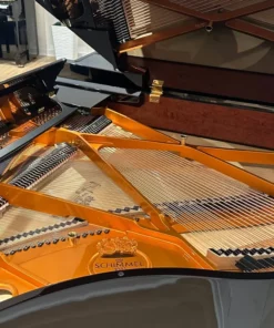 Schimmel Classic C169 Tradition
