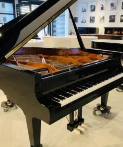 Schimmel Classic C169 Tradition