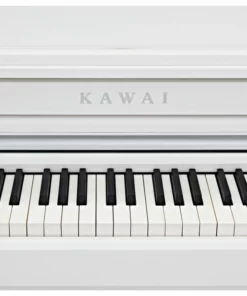 KAWAI CA59 WH