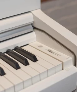 KAWAI CA79 PE