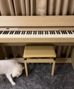 ROLAND F701 LA