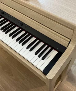ROLAND HP-704 LO (New)