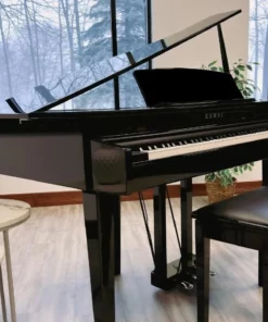 KAWAI DG30