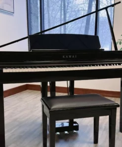 KAWAI DG30