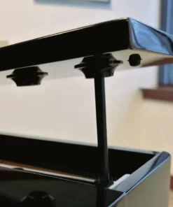 KAWAI DG30