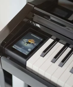 KAWAI NV5 Hybrid