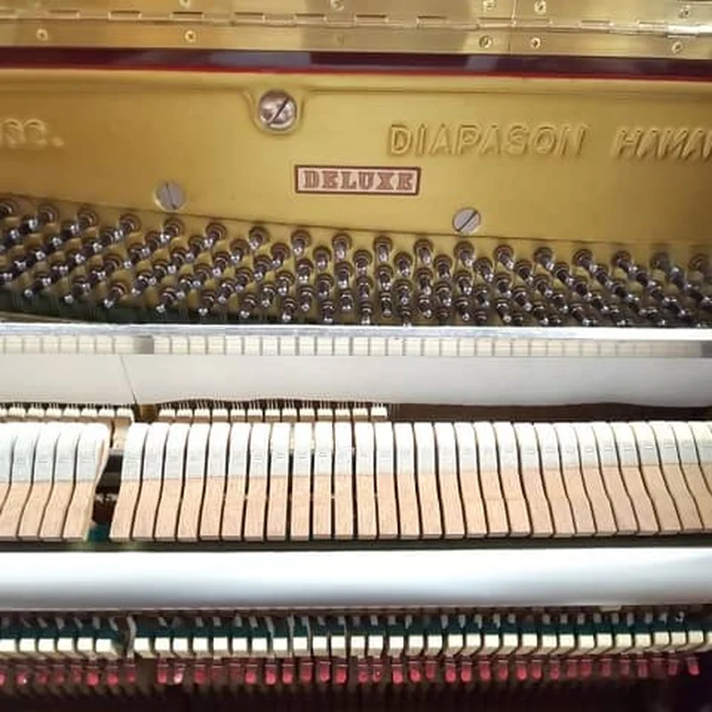 DIAPASON No.132