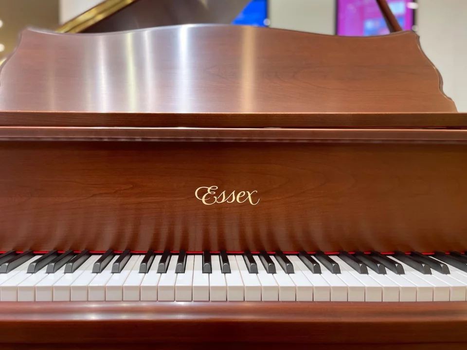 Essex EGP-155F – Toàn cảnh thiết kế tại Nah Music