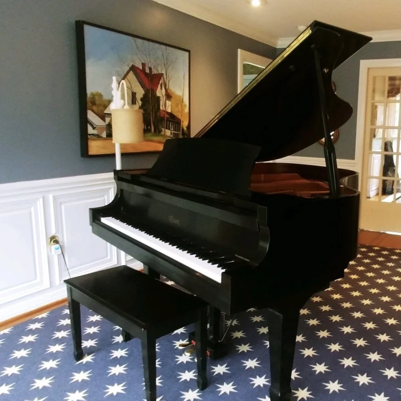Review Essex EGP-161N Cherry Satin (USED) – Hình ảnh thực tế tại showroom Nah Music