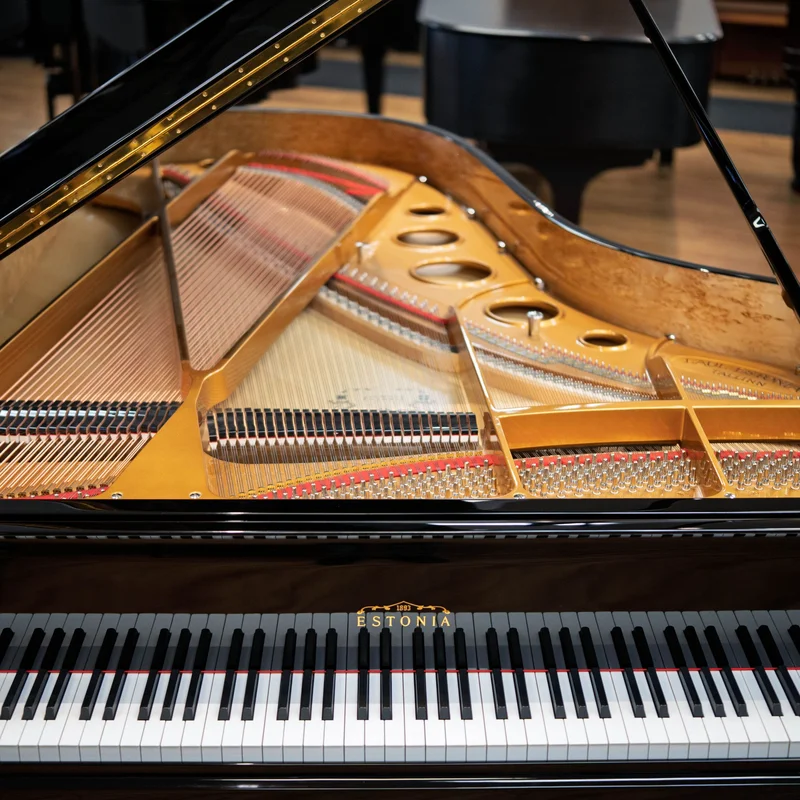Estonia L225 Polish Ebony tại showroom Nah Music