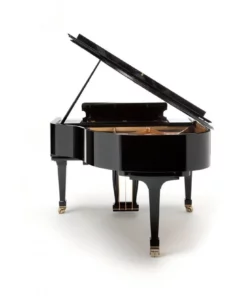 Fazioli F156 - Baby Grand