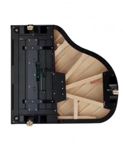 Fazioli F156 - Baby Grand