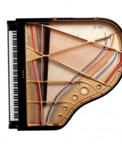 Fazioli F156 - Baby Grand