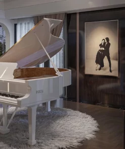 Fazioli F212 - Hiend Grand