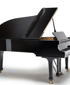 Fazioli F212 - Hiend Grand