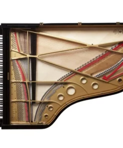 Fazioli F212 - Hiend Grand