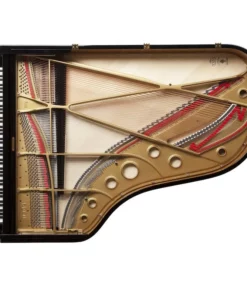 Fazioli F212 - Strauss Edition