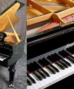 Fazioli F212 - Strauss Edition