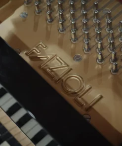 Fazioli F212 - Strauss Edition