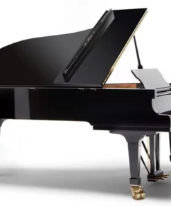 Fazioli F228 - Semi Concert Grand
