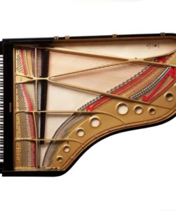Fazioli F228 - Semi Concert Grand