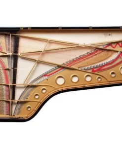 Fazioli F278 - Concert Grand