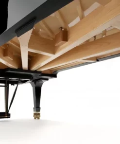 Fazioli F308 - The Longest Grand Piano
