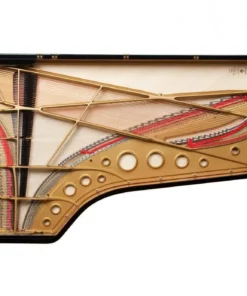 Fazioli F308 - The Longest Grand Piano