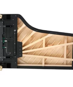 Fazioli F308 - The Longest Grand Piano