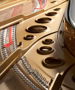 Fazioli F308 - The Longest Grand Piano