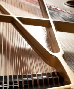 Fazioli F308 - The Longest Grand Piano