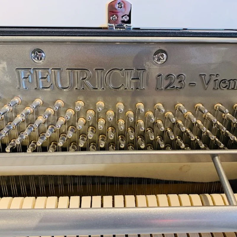 FEURICH 123 Vienna White Polish (Made in Austria) - Nah Music