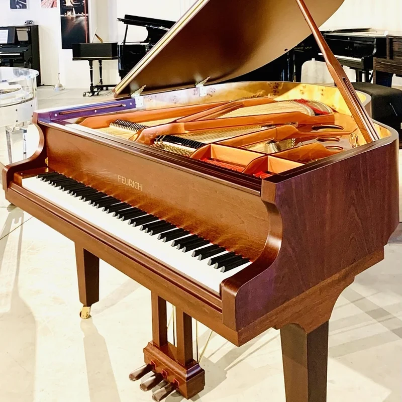 FEURICH 162 - "DYNAMIC I" (Satin Walnut) - Nah Music