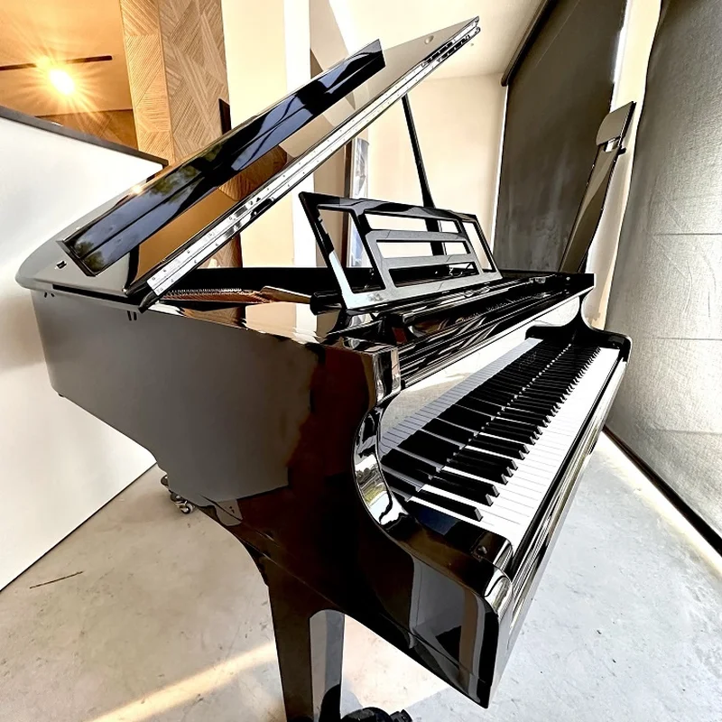 FEURICH 162 - "DYNAMIC I" (Black Polish & Chrome) - Nah Music