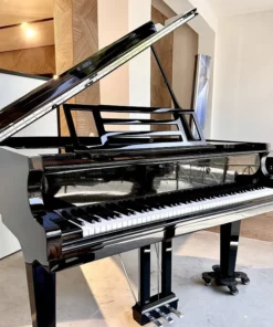 FEURICH 162 - 
