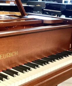 FEURICH 162 - 