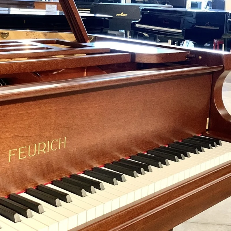 FEURICH 162 - "DYNAMIC I" (Walnut Polished) - Nah Music