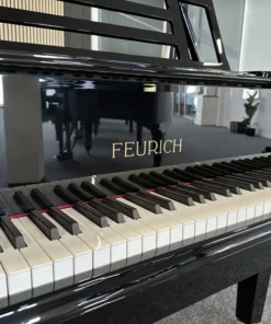 FEURICH Mod.178 DYNAMIC II (USED)
