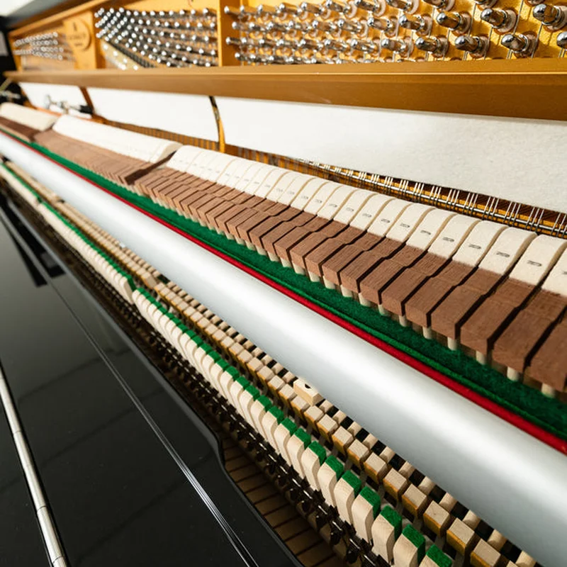 Fridolin Schimmel F123 Tradition (Ebony High Gloss)