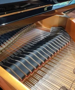 Fridolin Schimmel F156 Tradition (Ebony High Gloss)