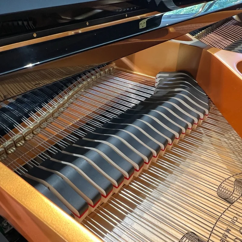 Fridolin Schimmel F156 Tradition (Ebony High Gloss) – Toàn cảnh thiết kế tại Nah Music