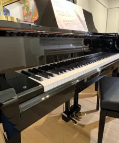 Fridolin Schimmel F156 Tradition (Ebony High Gloss)