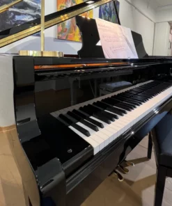 Fridolin Schimmel F156 Tradition (Ebony High Gloss)