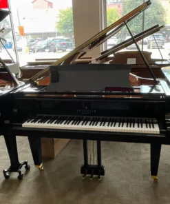 Fridolin Schimmel F156 Tradition (Ebony High Gloss)