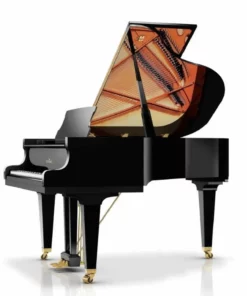 Fridolin Schimmel F156 Tradition (Ebony High Gloss)