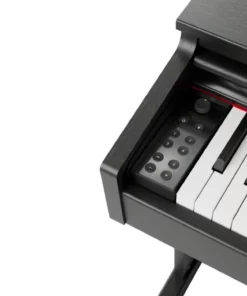 Gewa DP510