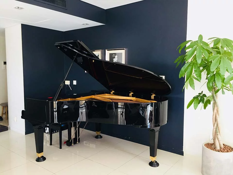 PIANO APOLLO A30 - Nah Music