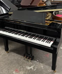 YAMAHA G5