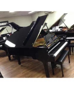 YAMAHA G5