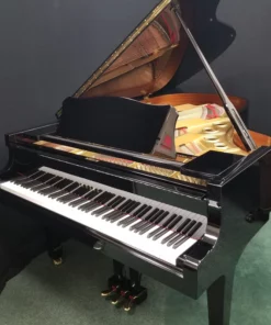 YAMAHA G5